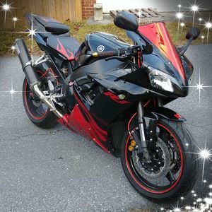 Meet your Posher, Kenny